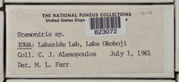 Image Associated With the Occurence